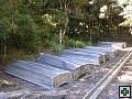 thn_NZ leden-unor 2006 246.jpg